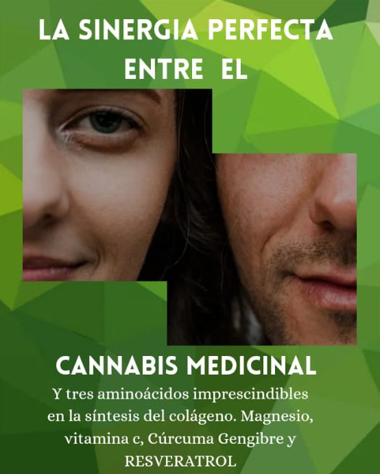 cannabis